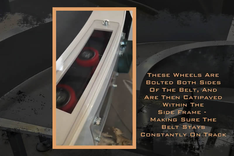 Transportador de cinta curva de PVC (Área de inspección)